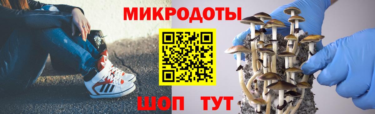 Псилоцибиновые грибы Cubensis  Вход с VPN  Псилоцибиновые грибы Psilocybe  Соль-Илецк 